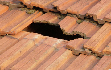 roof repair Ensis, Devon